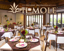 リゾートレストラン IL MOLE
