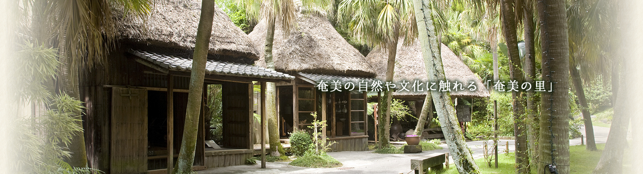 ご案内